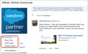 salesforce partner
