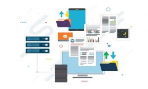 Webp.net-resizeimage (21)