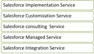 Salesforce-services-blog