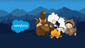 Salesforce-Developer