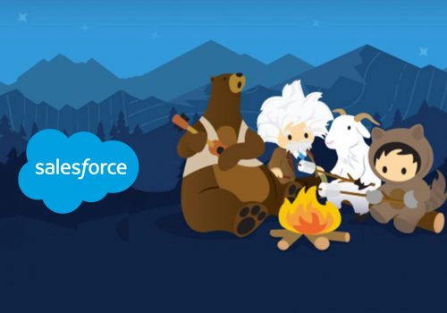 Salesforce-Developer